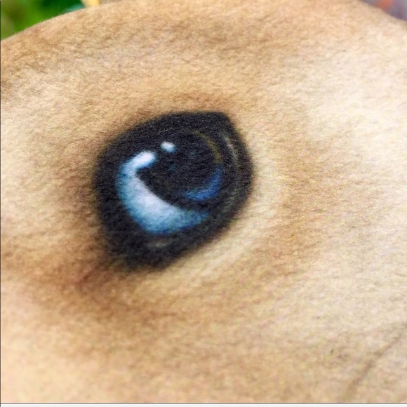 Shibu Inu Dog Coin Purse Funny Lookin’ - Picture 4 of 7